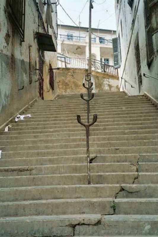 02 ECOLE DU MUSEE LES ESCALIERS.JPG